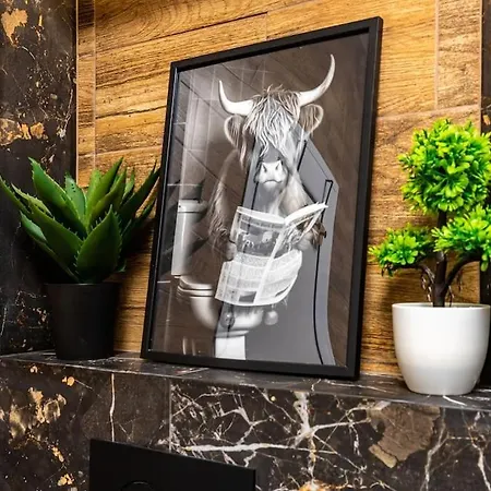 Apollo Close To Medical