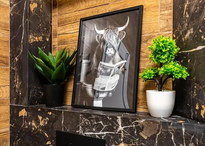 Apollo Close To Medical